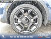 2025 Kia Sorento 2.5T X-Line Limited w/Olive Brown Interior (Stk: U38003) in Red Deer - Image 6 of 25