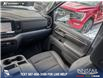 2025 Chevrolet Silverado 1500 LT (Stk: P1624) in Canmore - Image 25 of 26