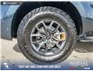 2025 Ford Expedition Tremor (Stk: U38030) in Red Deer - Image 6 of 25