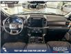 2024 Ford F-150 Tremor (Stk: RC20117) in Airdrie - Image 23 of 24