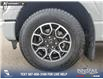 2023 Ford F-150 XLT (Stk: U38042) in Red Deer - Image 6 of 25