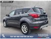 2019 Ford Escape SE (Stk: P7003) in Olds - Image 4 of 25