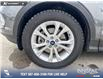 2019 Ford Escape SE (Stk: P7003) in Olds - Image 6 of 25