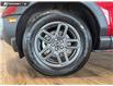 2025 Ford Bronco Sport Big Bend (Stk: P15076) in Airdrie - Image 6 of 25