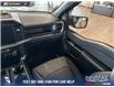 2024 Ford F-150 STX (Stk: RC20164) in Airdrie - Image 25 of 25