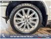 2019 Ford F-150 Limited (Stk: P15103) in Airdrie - Image 6 of 25