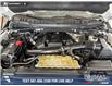 2019 Ford F-150 Limited (Stk: P15103) in Airdrie - Image 10 of 25