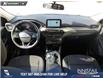 2025 Ford Escape Active (Stk: U38079) in Red Deer - Image 25 of 25