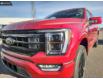 2023 Ford F-150 Lariat (Stk: 23T4249) in Red Deer - Image 8 of 25