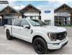 2023 Ford F-150 Platinum (Stk: 23CT9868) in Canmore - Image 1 of 25