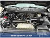 2024 Ford F-150 STX (Stk: 25P152) in Kamloops - Image 10 of 25