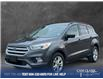 2018 Ford Escape SEL (Stk: 25P158) in Kamloops - Image 1 of 25