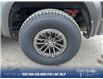 2019 Ford F-150 Raptor (Stk: T6041A) in Kamloops - Image 6 of 25