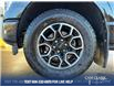 2023 Ford F-150 (Stk: 25P177) in Kamloops - Image 6 of 25 2023 Ford F-150 (Stk: 25P177) in Kamloops - Image 6 of 25
