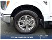 2022 Ford F-150 Lariat (Stk: BJT13961) in North Vancouver - Image 6 of 22