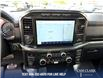 2023 Ford F-150 XLT (Stk: P13862) in North Vancouver - Image 18 of 22