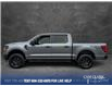 2024 Ford F-150 STX (Stk: 25P152) in Kamloops - Image 3 of 25