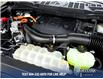 2022 Ford F-150 Platinum (Stk: P13876) in North Vancouver - Image 10 of 22