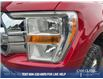 2021 Ford F-150  (Stk: T5408A) in Kamloops - Image 8 of 25