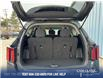 2025 Kia Sorento 2.5L LX (Stk: 26P027) in Kamloops - Image 12 of 25