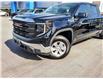 2023 GMC Sierra 1500 Pro (Stk: 38212A) in Coquitlam - Image 3 of 18