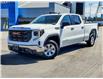 2023 GMC Sierra 1500 Pro (Stk: 38259A) in Coquitlam - Image 1 of 19