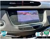 2020 Cadillac XT5 Luxury (Stk: U-2644) in Tillsonburg - Image 13 of 20