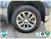 2019 Chevrolet Silverado 1500 LTZ (Stk: 23G61A) in Tillsonburg - Image 6 of 20