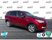 2015 Ford Escape Titanium (Stk: ZE978A) in Waterloo - Image 2 of 21