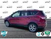 2015 Ford Escape Titanium (Stk: ZE978A) in Waterloo - Image 4 of 21