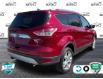 2015 Ford Escape Titanium (Stk: ZE978A) in Waterloo - Image 5 of 21