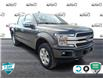 2019 Ford F-150 Platinum (Stk: 94919) in Sault Ste. Marie - Image 1 of 25