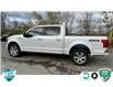 2019 Ford F-150 Platinum (Stk: 50-912) in St. Catharines - Image 4 of 22