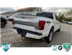2019 Ford F-150 Platinum (Stk: 50-912) in St. Catharines - Image 5 of 22