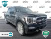 2022 Ford F-150 Limited (Stk: FF274A) in Sault Ste. Marie - Image 1 of 24