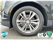2022 Cadillac XT5 Premium Luxury (Stk: 80-987) in St. Catharines - Image 6 of 22