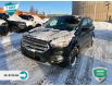 2017 Ford Escape SE (Stk: Z0200A) in Barrie - Image 7 of 22