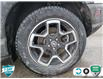 2021 Ford Bronco Sport Big Bend (Stk: A240744) in Hamilton - Image 6 of 23