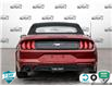 2018 Ford Mustang EcoBoost (Stk: 502347X) in St. Catharines - Image 5 of 27