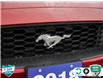 2018 Ford Mustang EcoBoost (Stk: 502347X) in St. Catharines - Image 9 of 27
