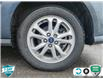 2021 Ford Transit Connect XLT (Stk: A250101X) in Hamilton - Image 6 of 23
