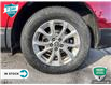 2019 Chevrolet Equinox LT (Stk: R096A) in Grimsby - Image 5 of 24