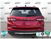 2022 Chevrolet Equinox LT (Stk: 25C111AA) in Tillsonburg - Image 5 of 24
