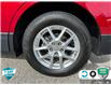 2022 Chevrolet Equinox LT (Stk: 25C111AA) in Tillsonburg - Image 6 of 24