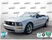 2008 Ford Mustang GT (Stk: 25G234A) in Tillsonburg - Image 1 of 24