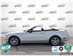2008 Ford Mustang GT (Stk: 25G234A) in Tillsonburg - Image 3 of 24