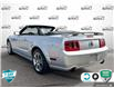 2008 Ford Mustang GT (Stk: 25G234A) in Tillsonburg - Image 4 of 24