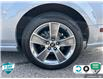 2008 Ford Mustang GT (Stk: 25G234A) in Tillsonburg - Image 6 of 24