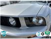 2008 Ford Mustang GT (Stk: 25G234A) in Tillsonburg - Image 8 of 24
