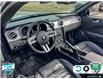 2008 Ford Mustang GT (Stk: 25G234A) in Tillsonburg - Image 12 of 24